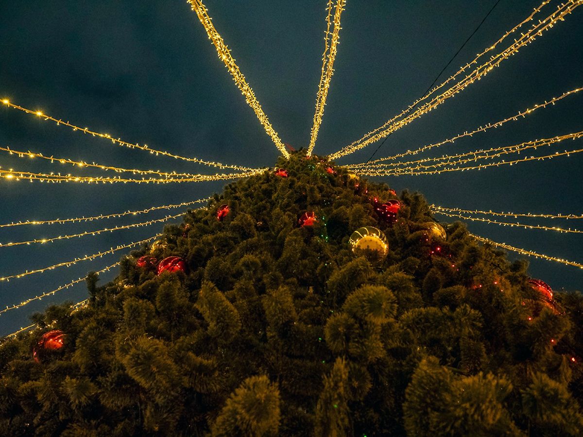 Синоптики рассказали, какая погода ждет Карелию в новогодние праздники