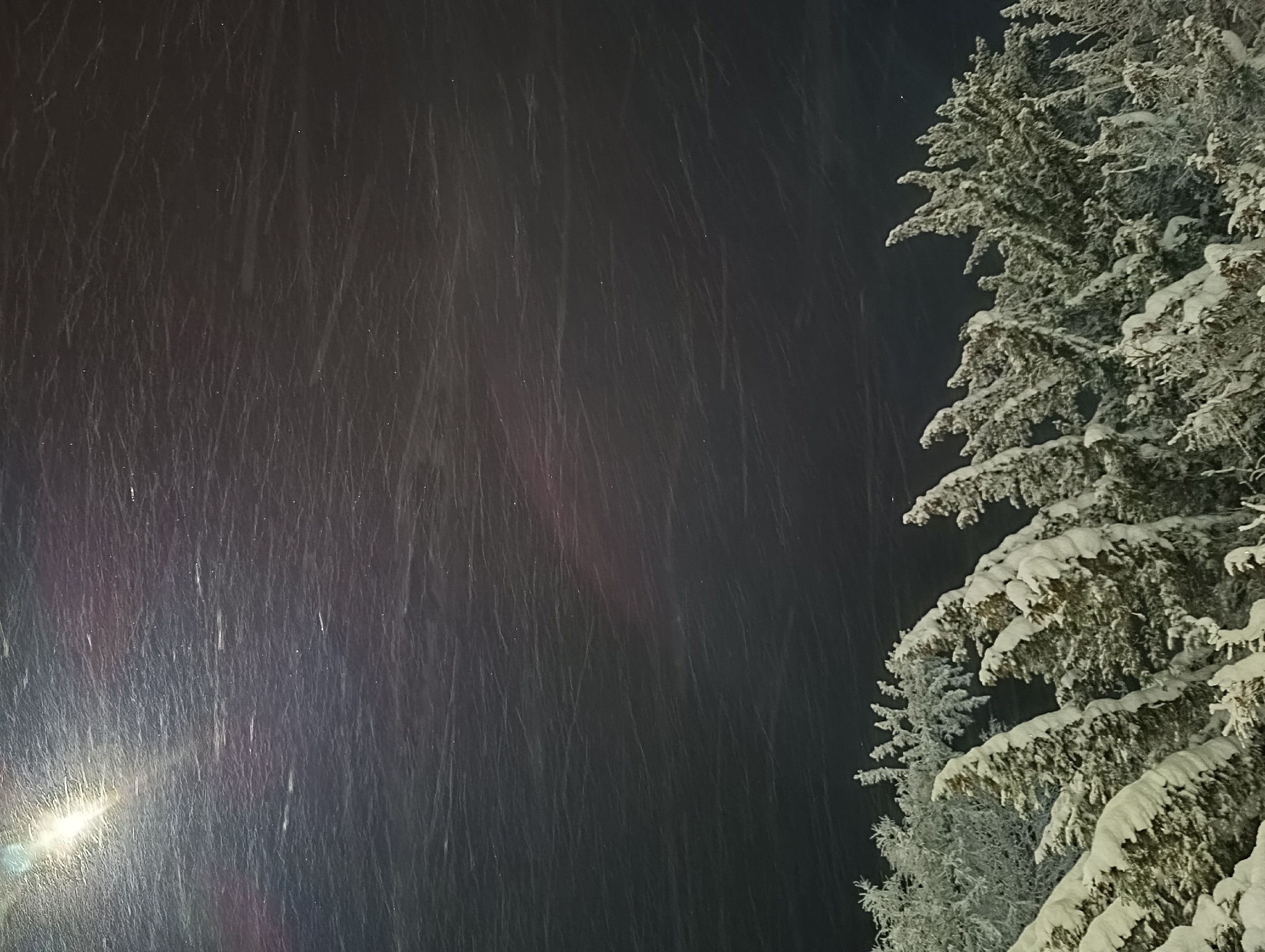 Мокрый снег обещают в Карелии в субботу. Прогноз погоды на 23 декабря