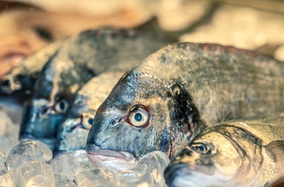 В Петрозаводске арестовали 116 килограммов рыбы