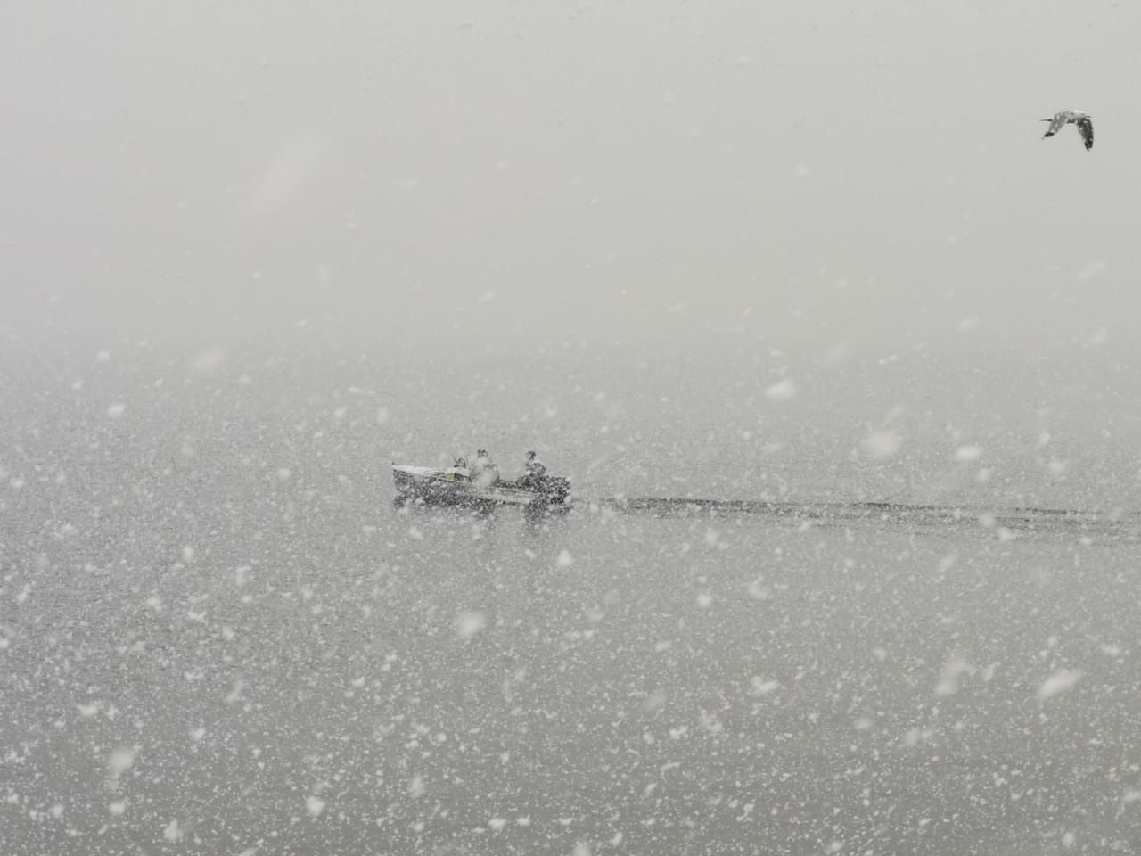 Двое жителей Карелии незаконно выловили рыбы на 1,4 млн рублей