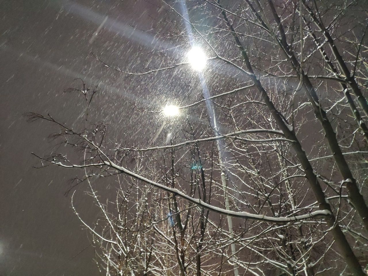 В МЧС предупредили жителей Карелии о снегопаде с сильным ветром