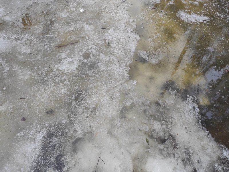 По всей Карелии действует запрет выхода на лед