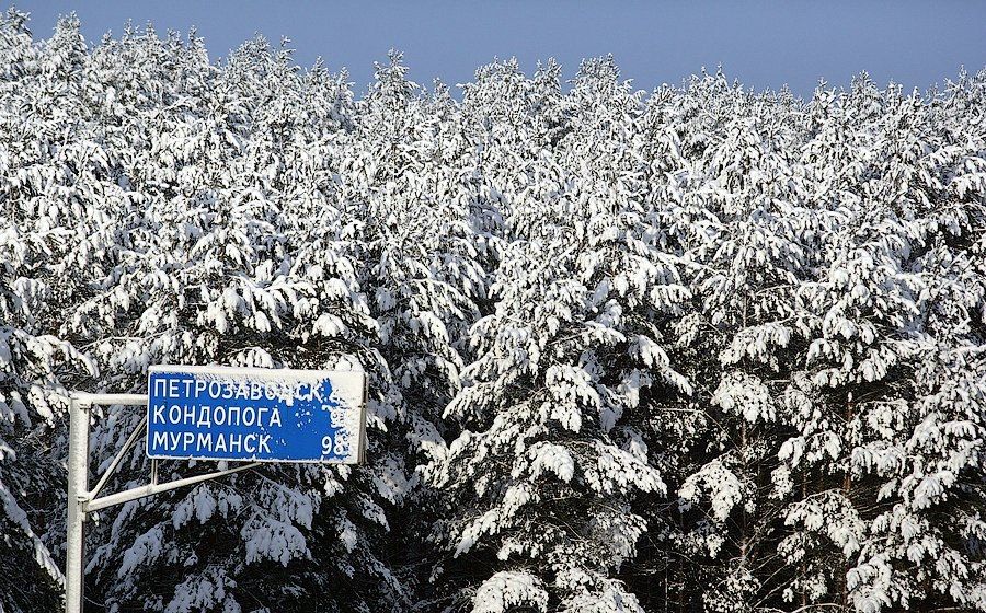 Карельские инспекторы начали патрулирование лесов в преддверии Нового года