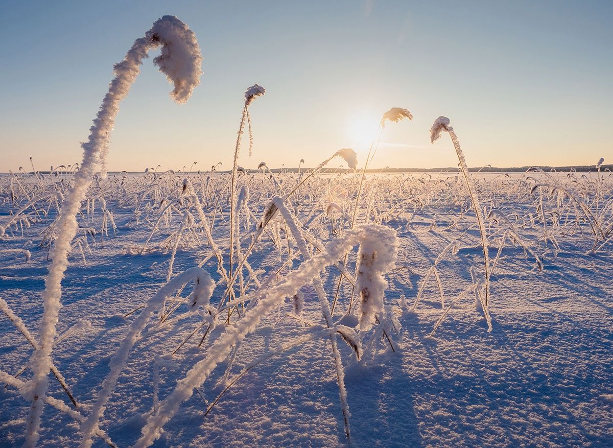 Зима, холода. Прогноз погоды в Карелии на 10 декабря