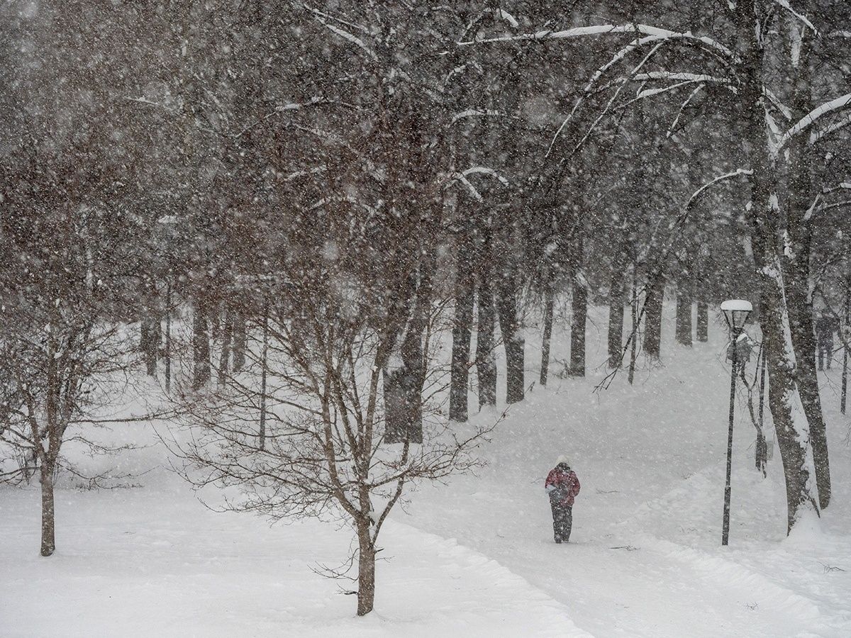 Метель и мокрый снег: прогноз погоды на 24 декабря