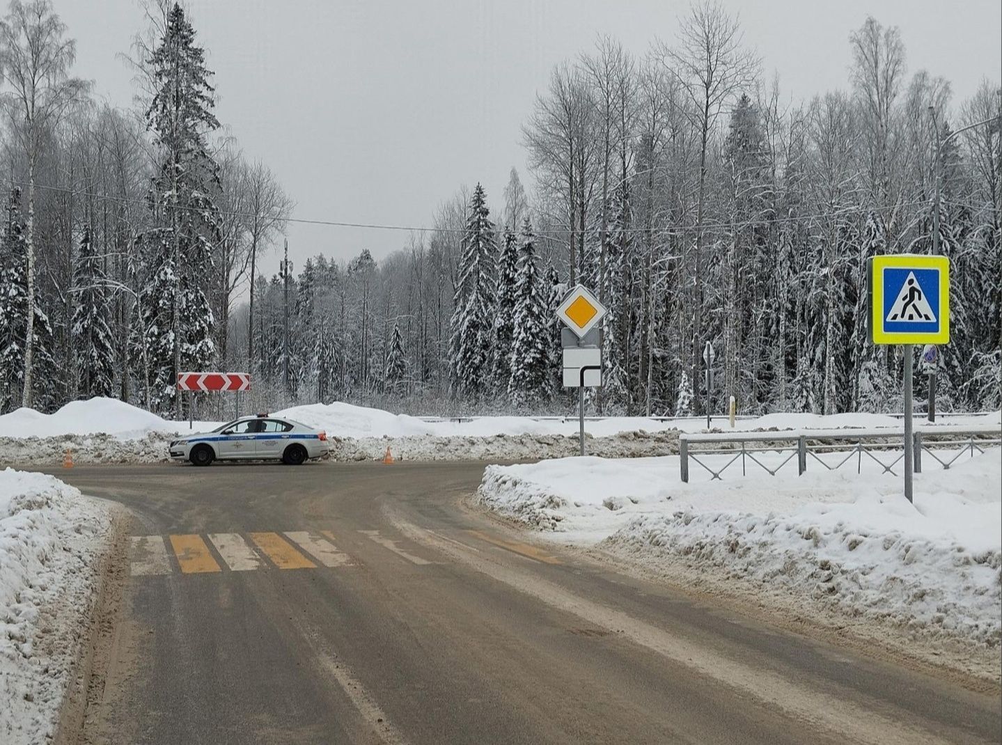 В Петрозаводске на «зебре» водитель автобуса сбил 86-летнюю женщину и уехал
