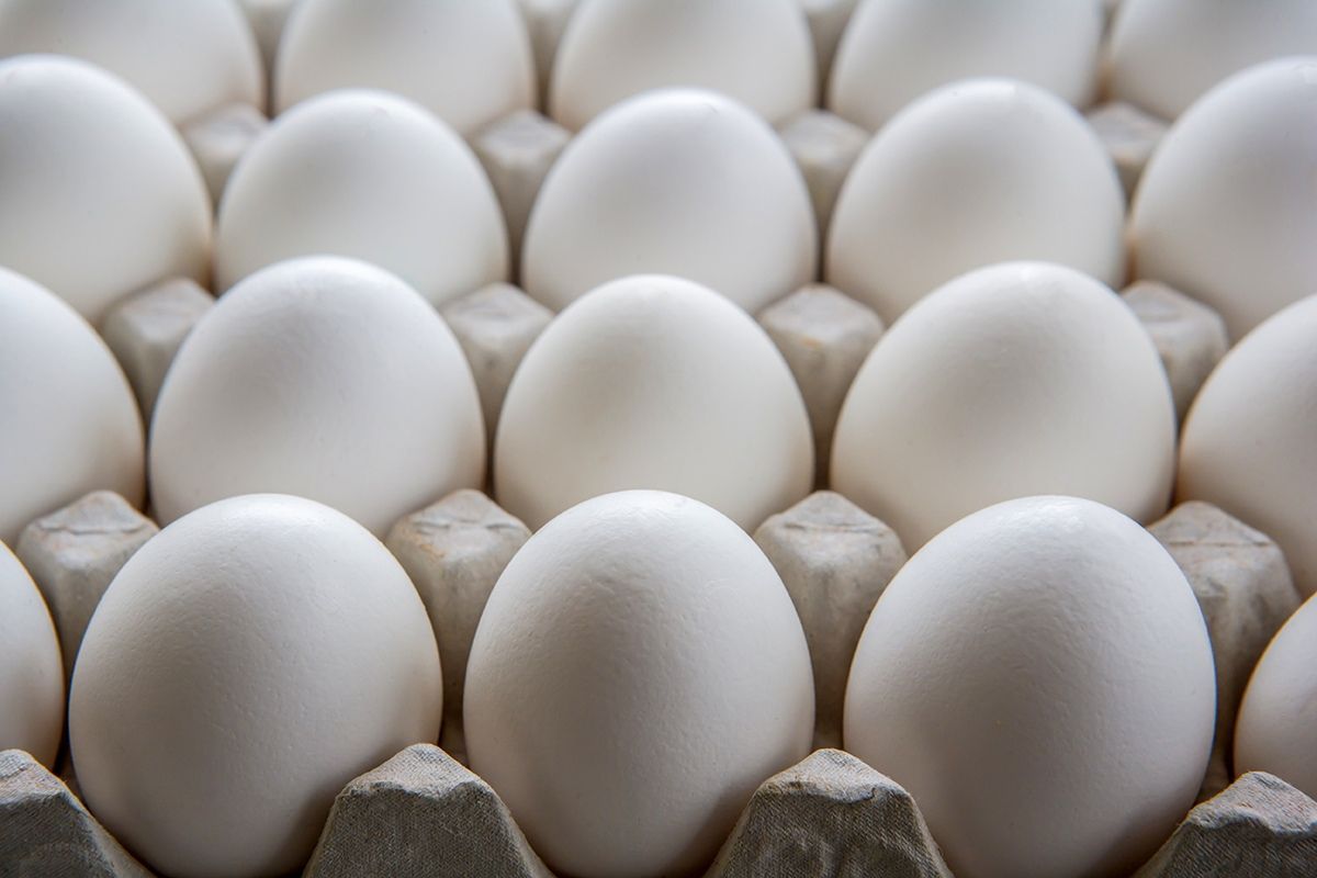 Цена на куриные яйца в Карелии по-прежнему растет