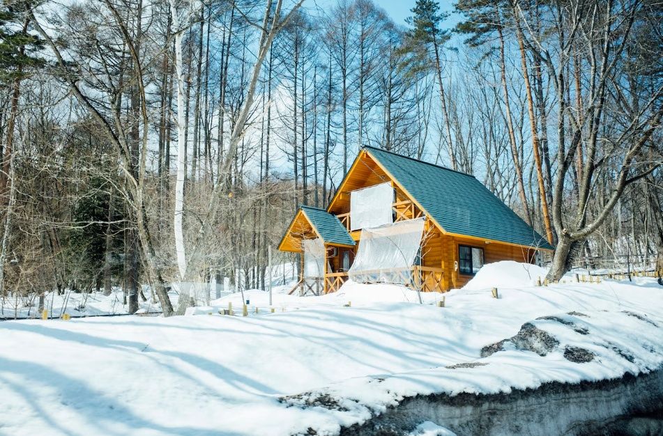 Карельский город вошел в число самых популярных направлений для зимнего отдыха на турбазе