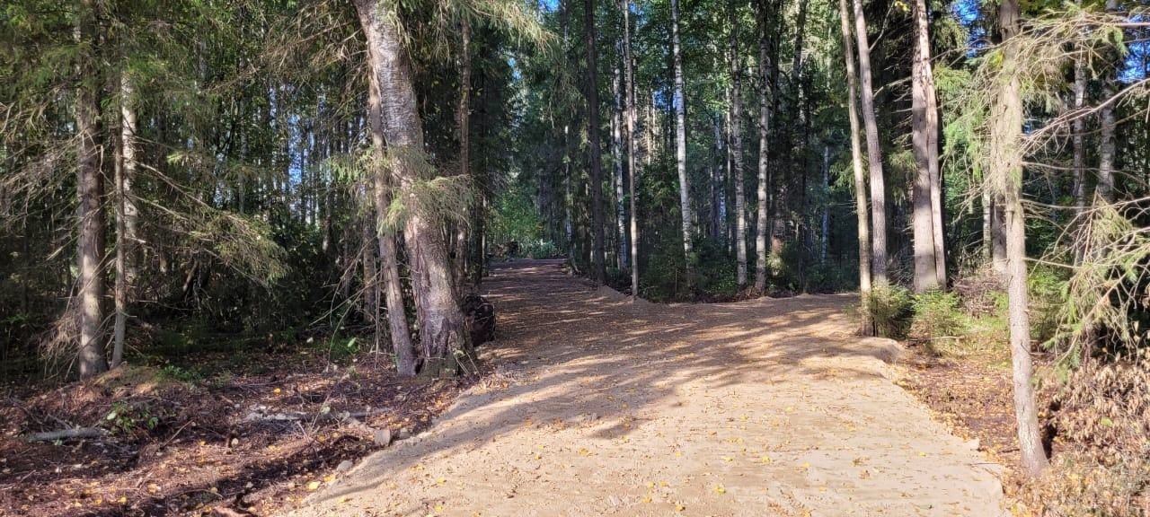 Мужчине, пытавшемуся увести в лес двух девочек в Прионежском районе, вынесли приговор