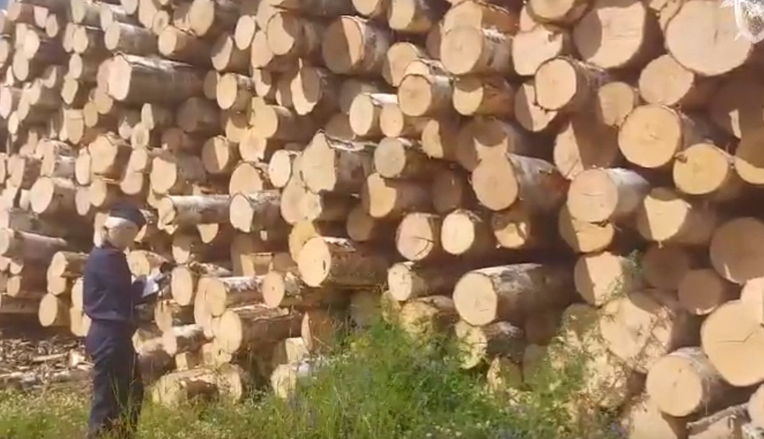 В Карелии водитель лесовоза украл древесину почти на 300 тысяч рублей