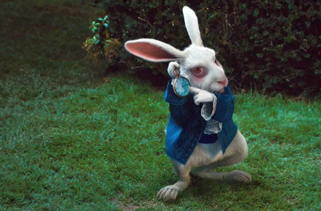 В поселке около Петрозаводска воссоздадут Зазеркалье с Алисой, Кроликом и огромной гусеницей