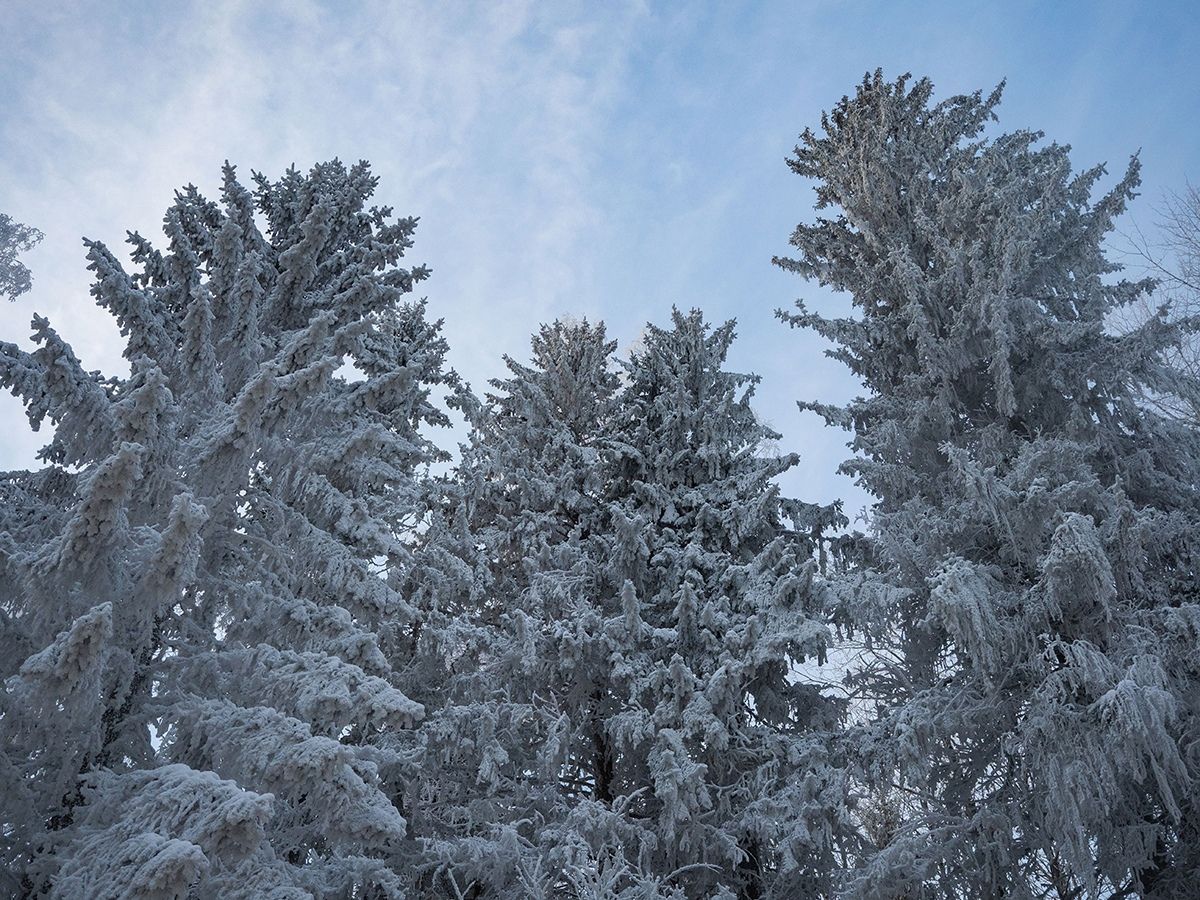 Синоптики рассказали, какой будет погода в Карелии в декабре
