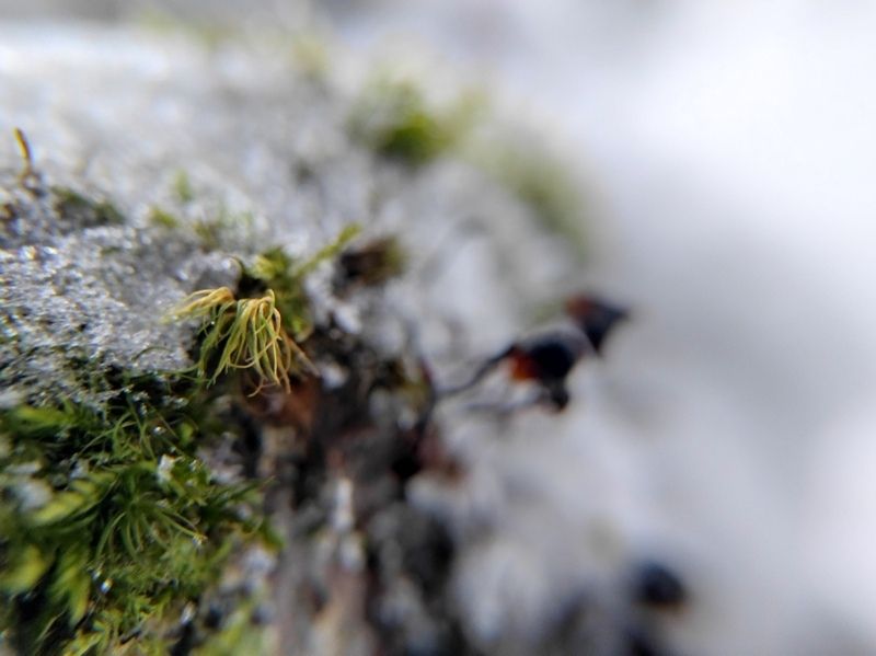 Потепление не закончится: прогноз погоды на 21 декабря