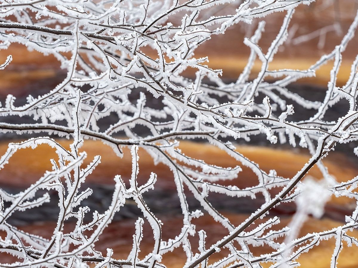 Местами до -20°С. Прогноз погоды в Карелии на 4 декабря