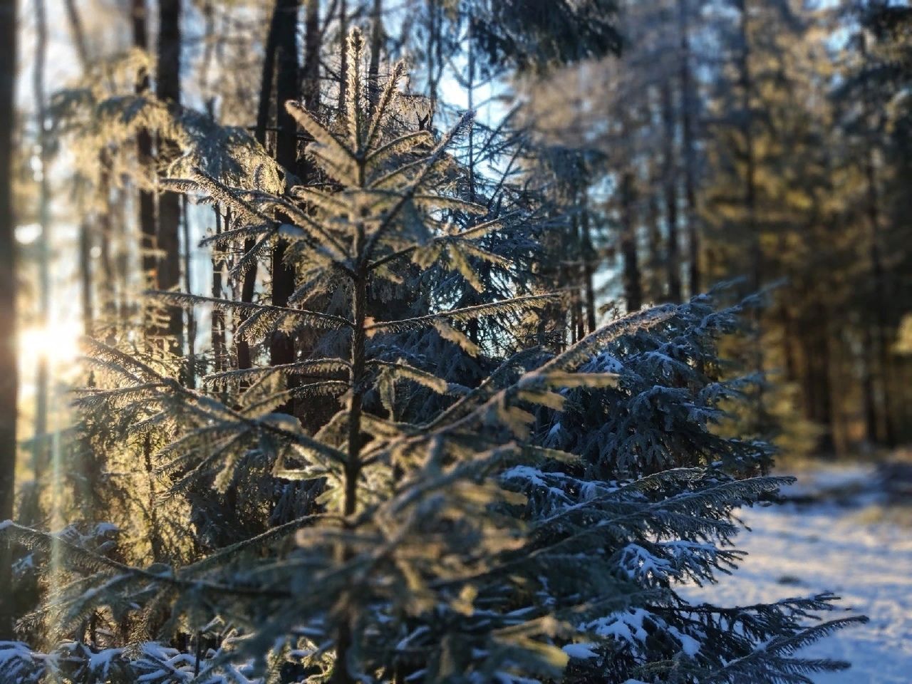 Снег и гололедица: прогноз погоды на 15 декабря