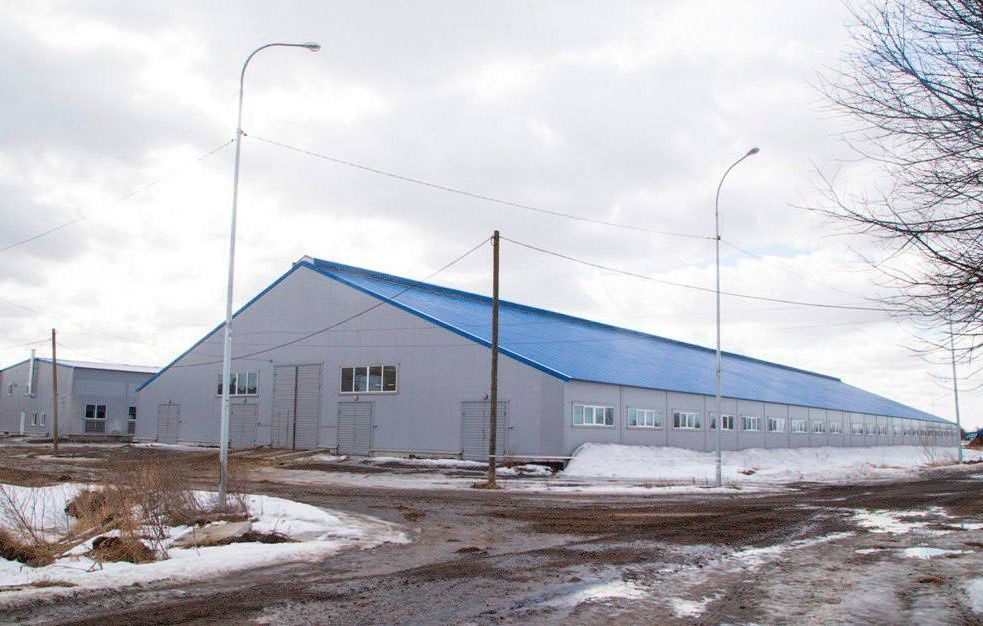 В Ладве планируют возродить совхоз «Маяк»