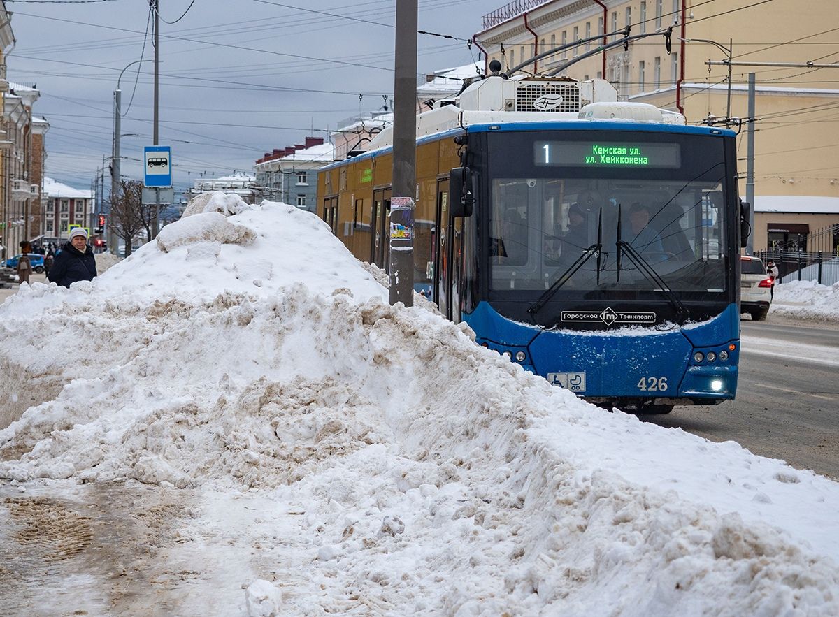 На уборку снега в Петрозаводске из резервного фонда Карелии выделено дополнительно 50 млн рублей