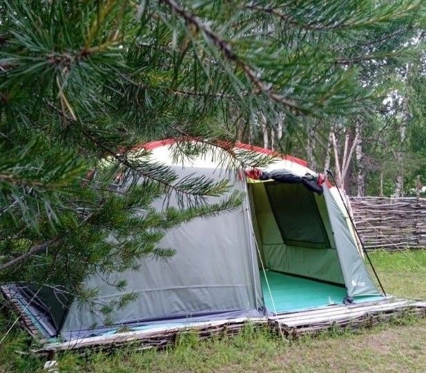 Карелия – в числе лидеров по реализации программы «Арктический гектар»