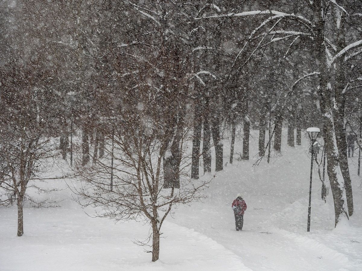 На Карелию обрушатся снегопад и метель