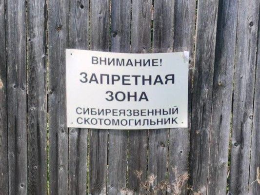 У скотомогильника в Ладве обвалился забор