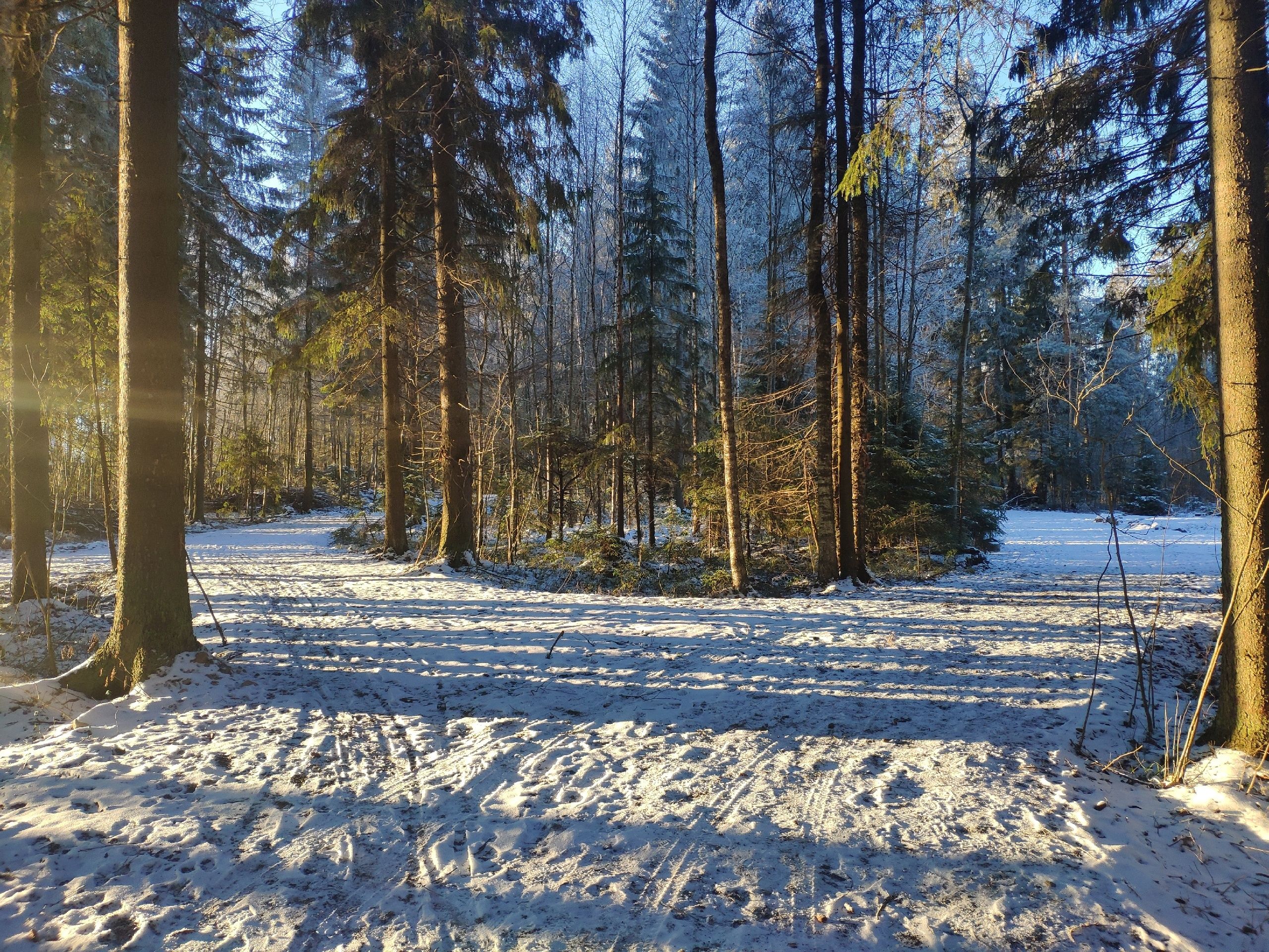 Днем до -18°С: прогноз погоды на 6 декабря