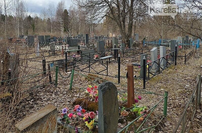 Смертность в Карелии в два раза превышает рождаемость