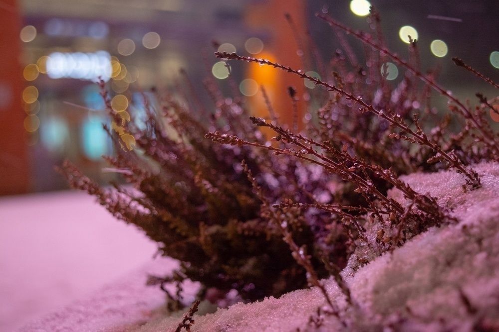 Морозы отступают: прогноз погоды на 13 декабря