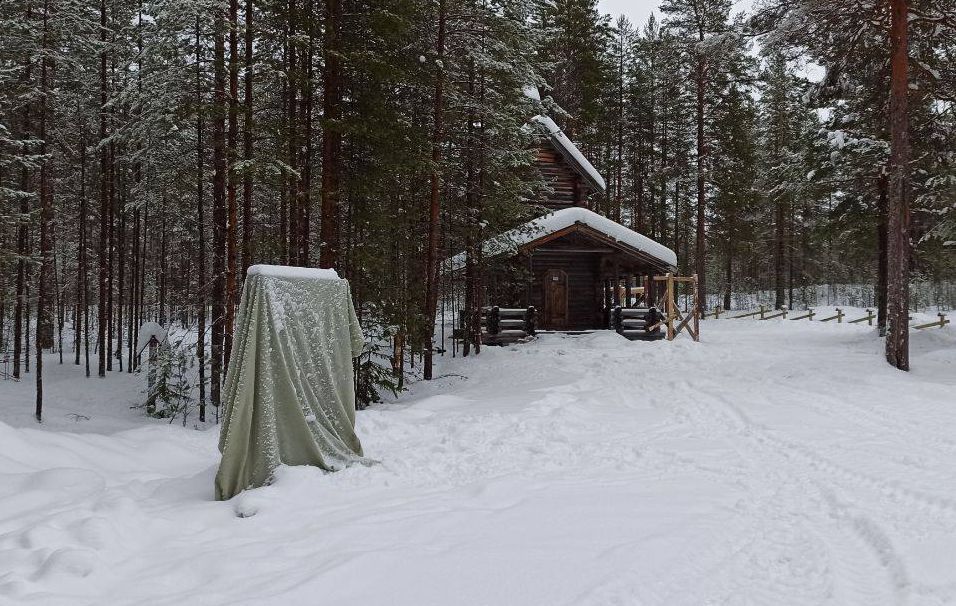 В урочище Сандармох установили стелу в память о жертвах финской оккупации, которых там официально не было