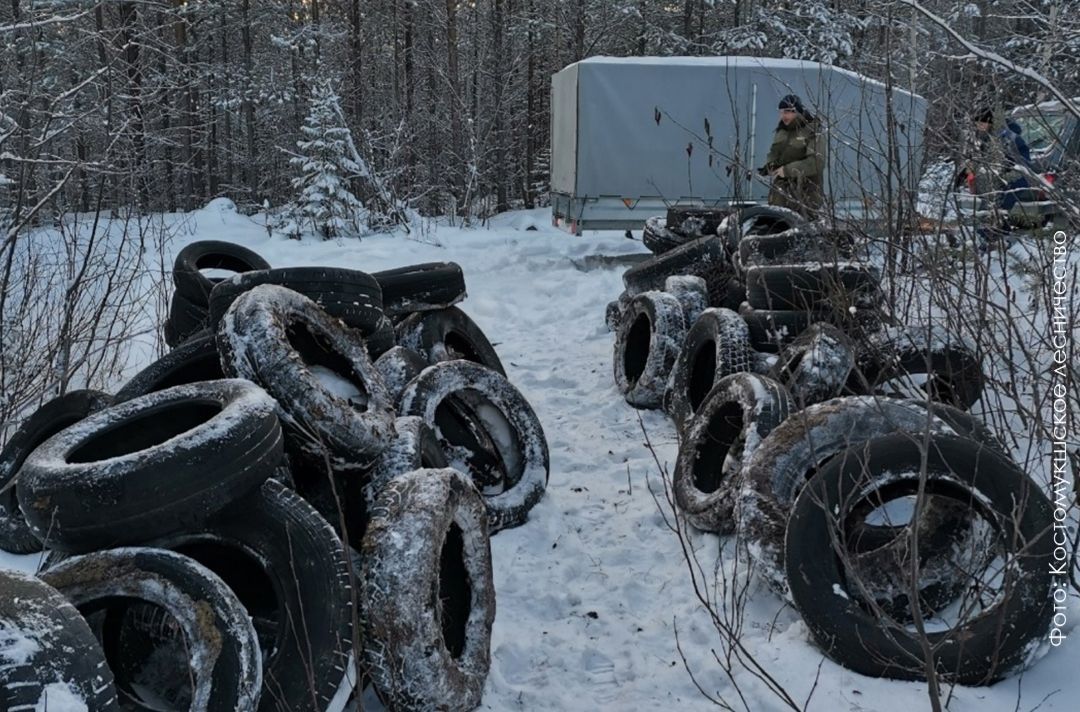В Карелии в 2023 году убрали более 100 несанкционированных свалок