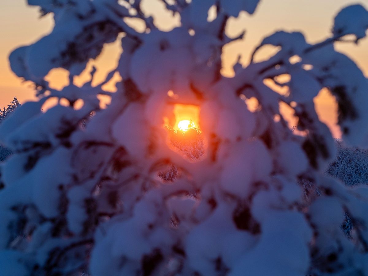 Карельские синоптики рассказали, ожидаются ли Крещенские морозы