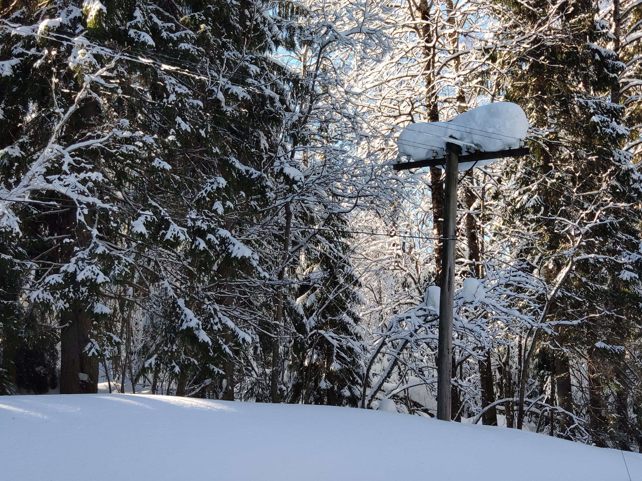 В Лахденпохском районе Карелии продолжаются отключения электричества
