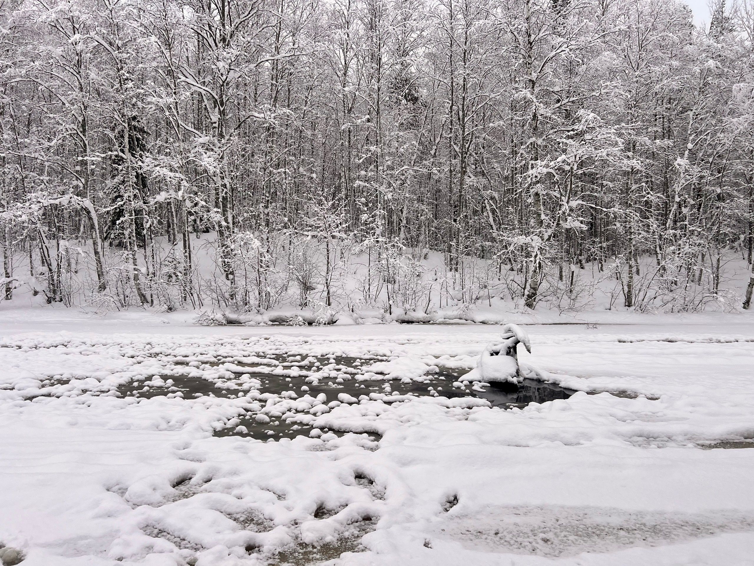 «Такого я не припомню в нашей практике». Водолазы вытащили из воды снегоход и он завелся