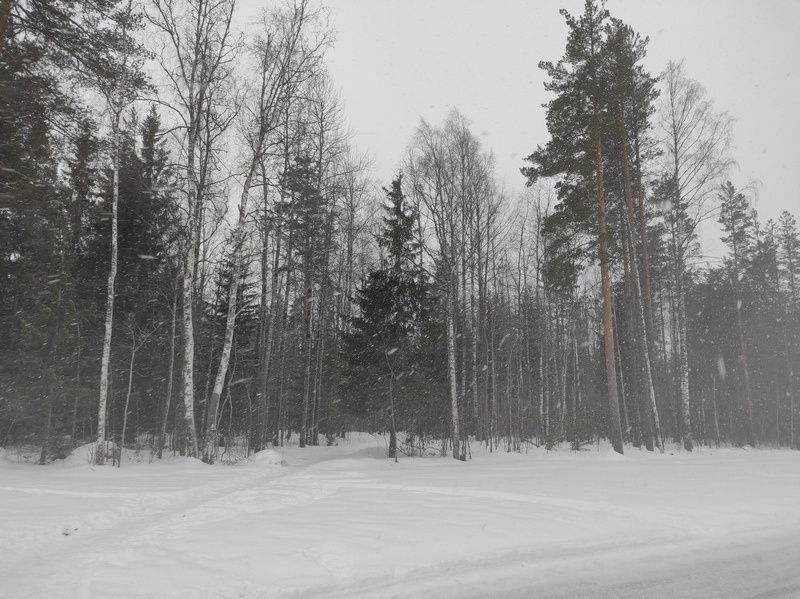 Ожидается снегопад: прогноз погоды на 10 января