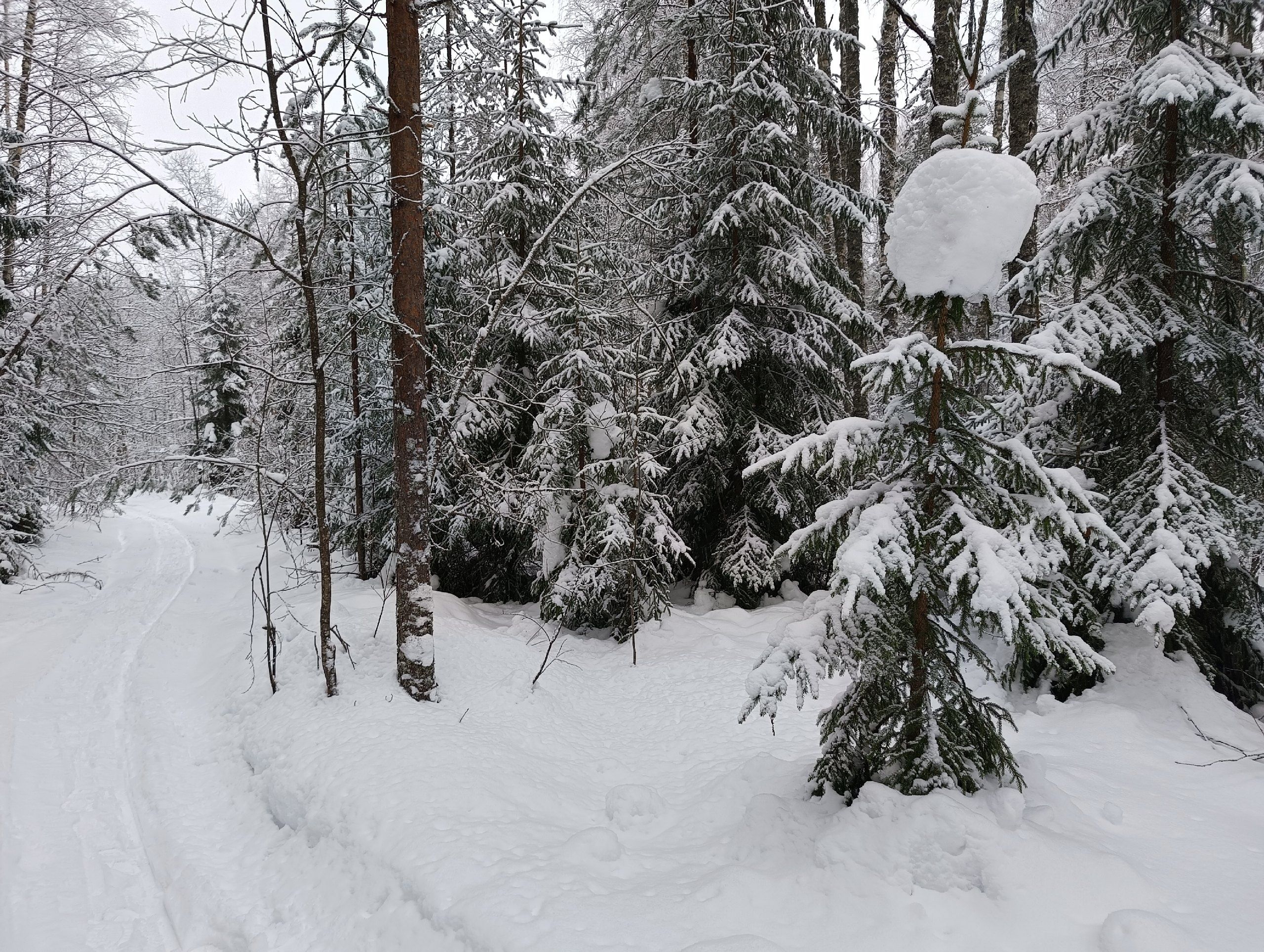 Морозы не отступают: прогноз погоды на 4 января