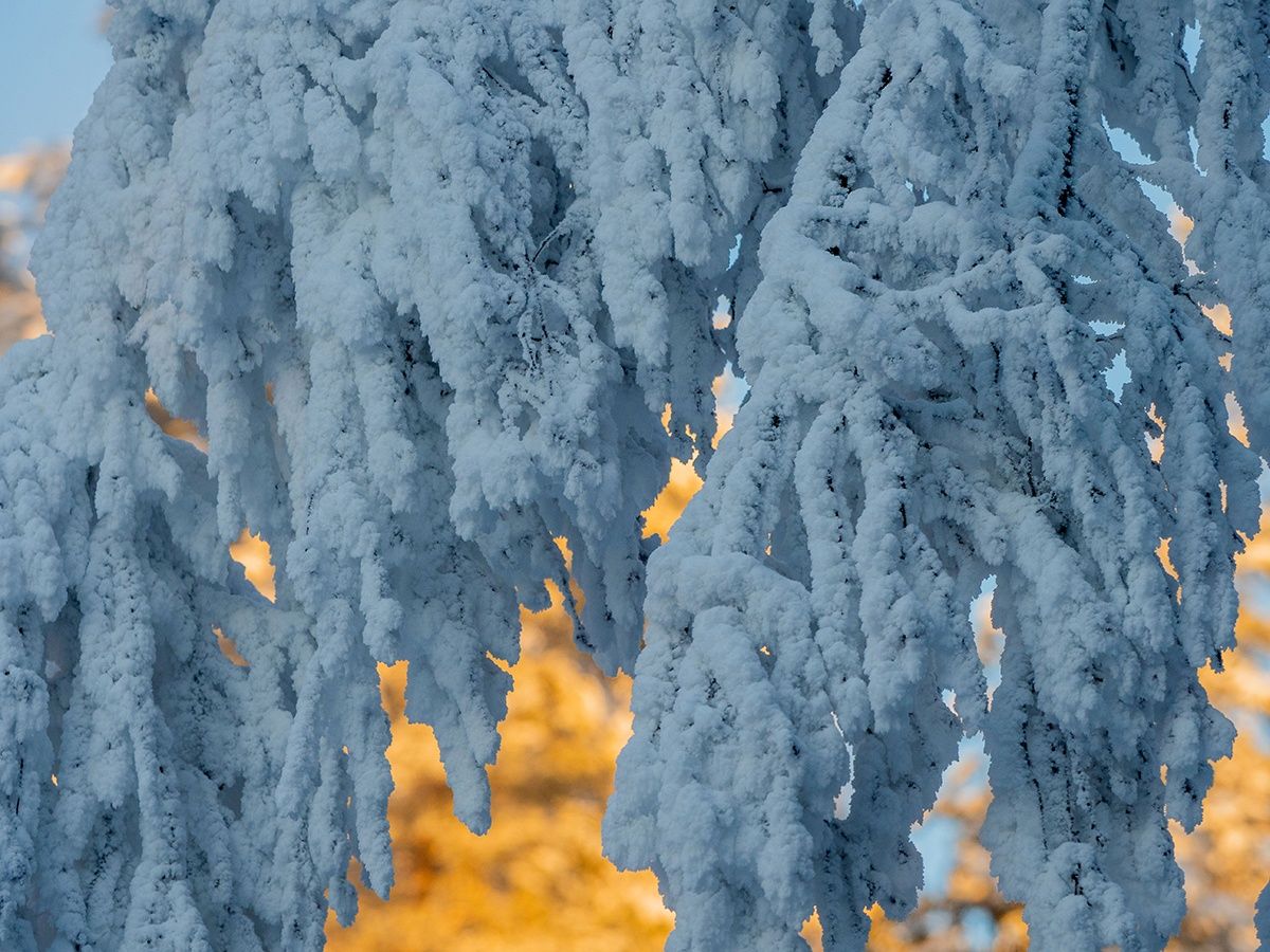 Местами температура в Карелии опустится до -20°С. Прогноз погоды на 17 января