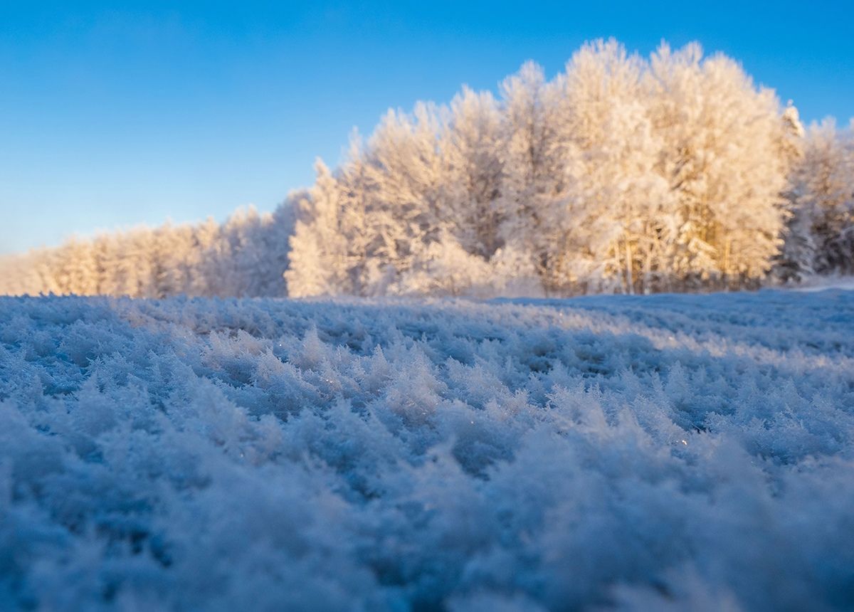 Ночью в Карелии местами температура опустится до -22°С, днем - до -9°С. Прогноз погоды на 27 января