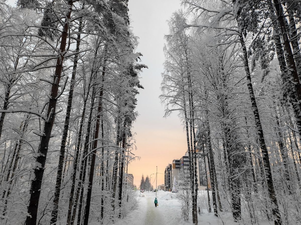 Морозы под — 30 градусов: прогноз погоды на 3 января