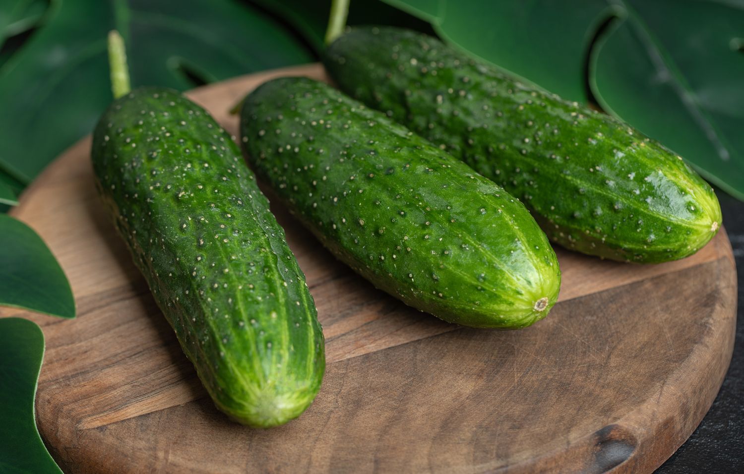 Огурцы в Карелии продолжают расти в цене