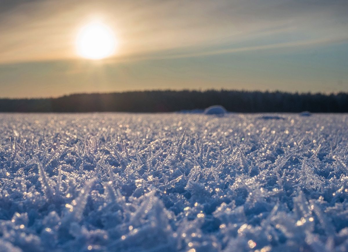 Ночью в Карелии до -39°С, днем до -25°С. Прогноз погоды на 7 января
