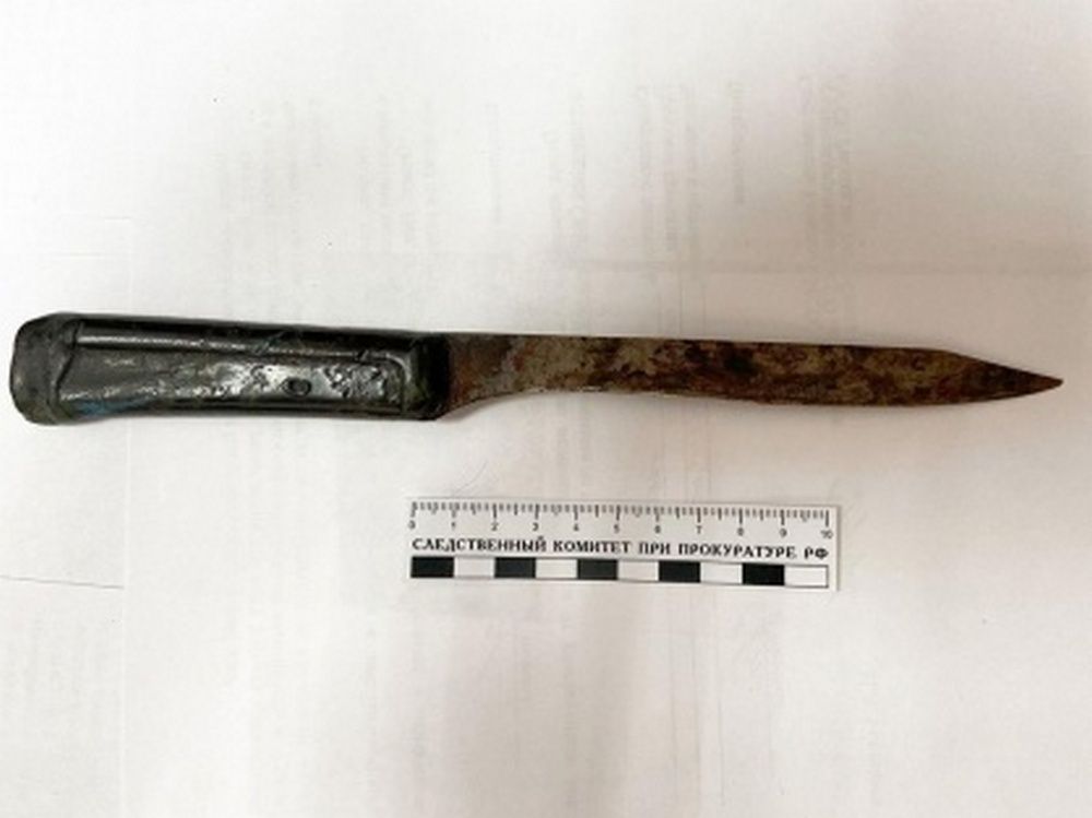 Сегежанин пришел в гости к знакомой и попытался ее убить