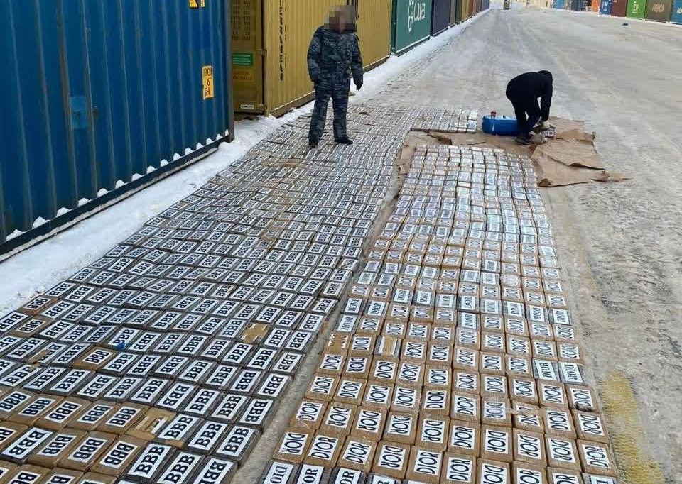 Контейнер с тонной кокаина нашли в порту Санкт-Петербурга