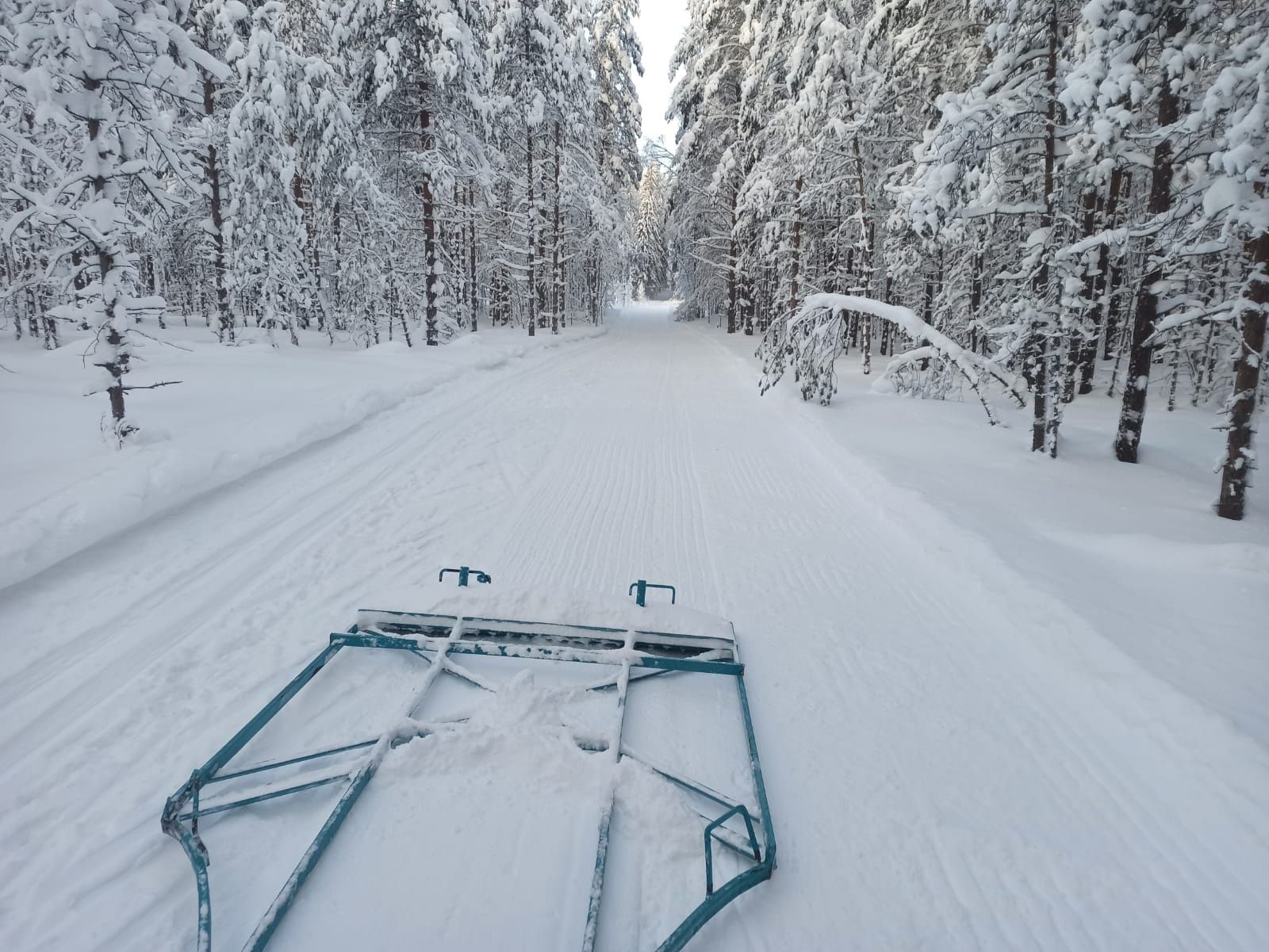 Из-за морозов вновь отменили праздник с Дедом Морозом на «Фонтанах»