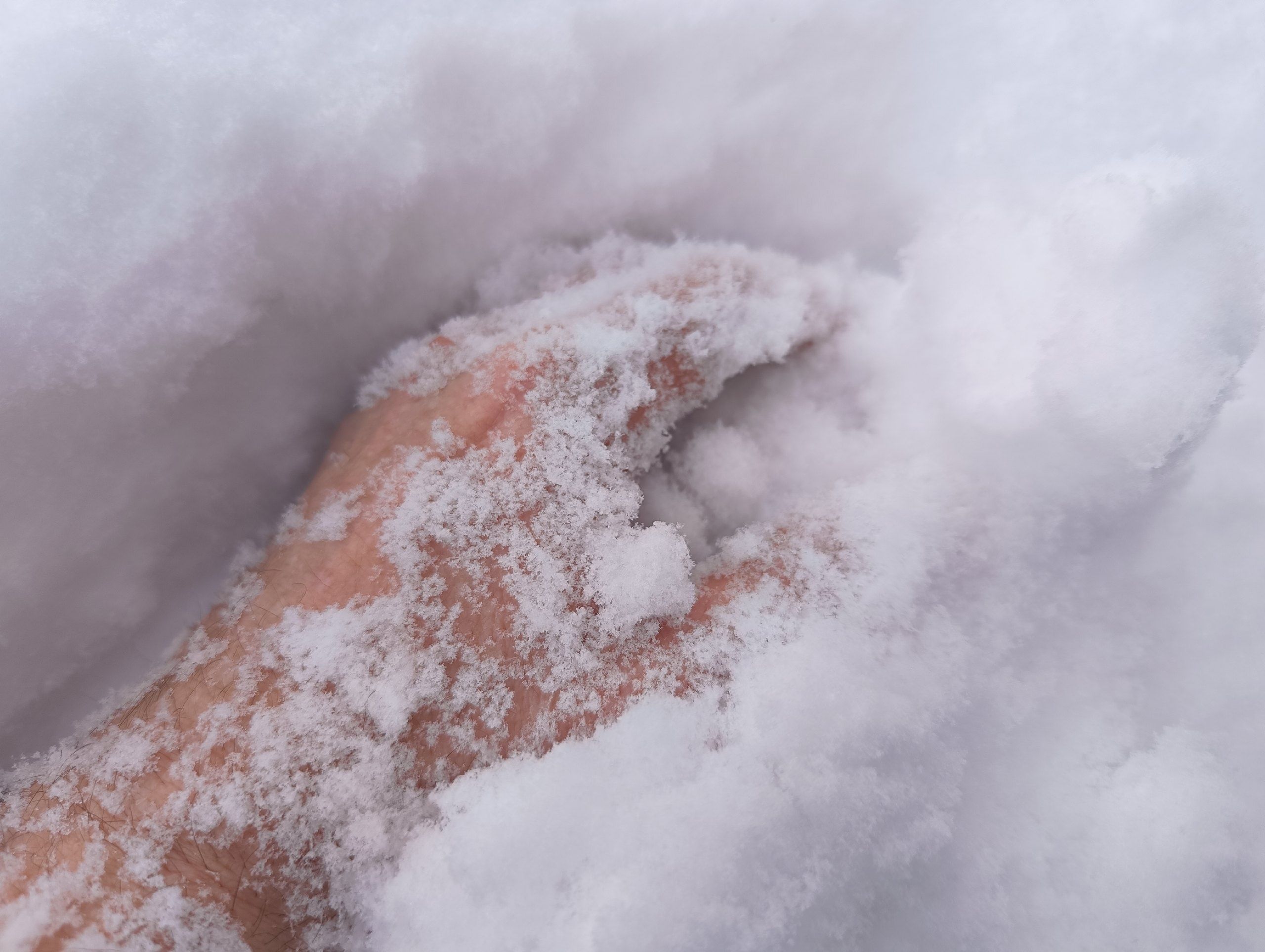 Житель Карелии во время уборки снега обнаружил в сугробе руку и помог раскрыть преступление Житель Карелии во время уборки снега обнаружил в сугробе руку и помог раскрыть преступление