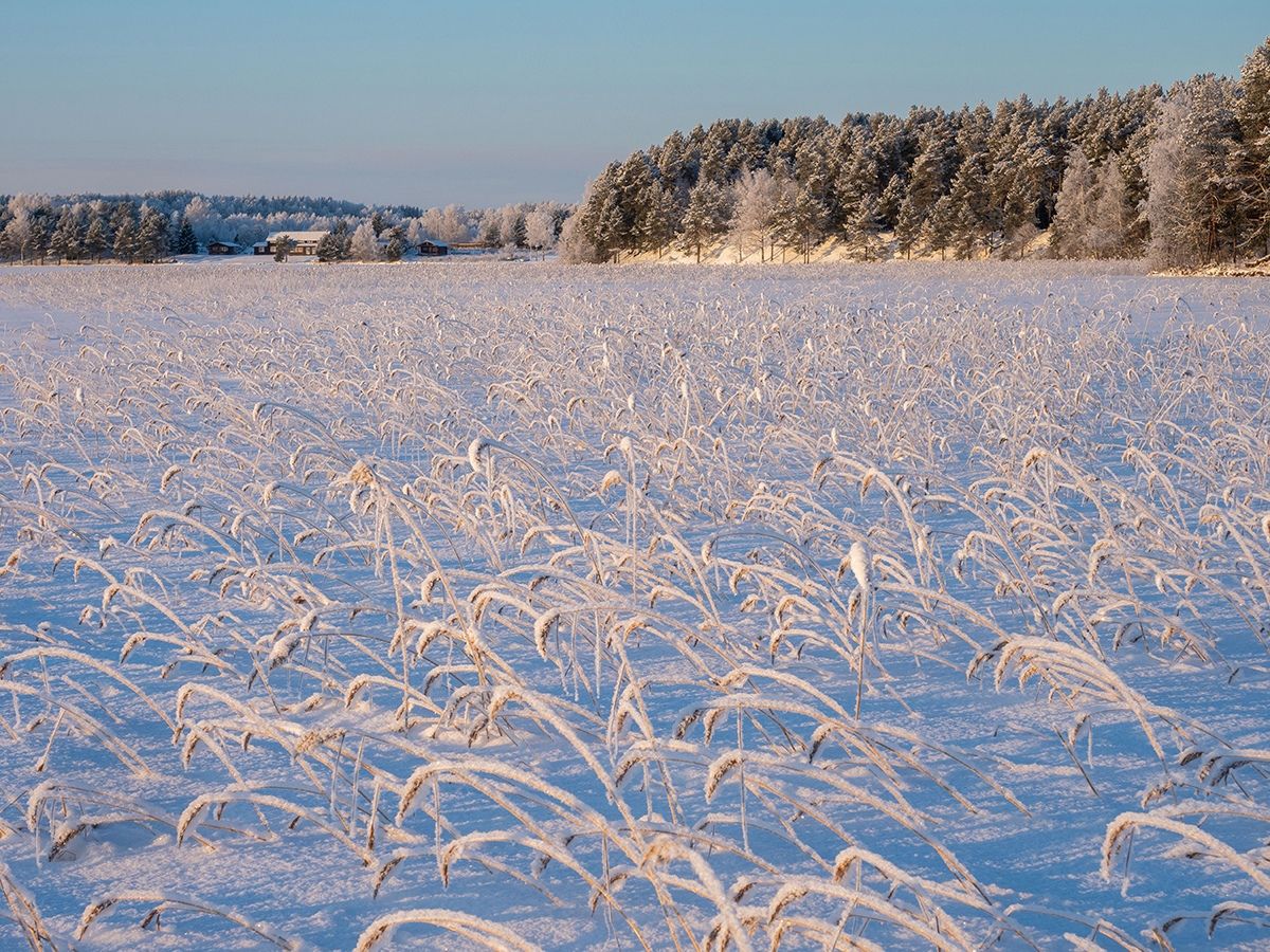 Минувшая среда стала самой теплой в Карелии за последние 76 лет