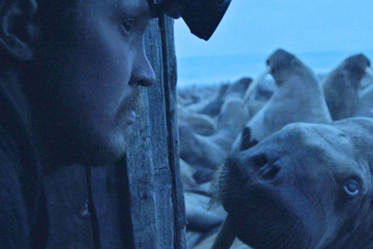 В Петрозаводске пройдет фестиваль экологического кино ЭкоЧашка