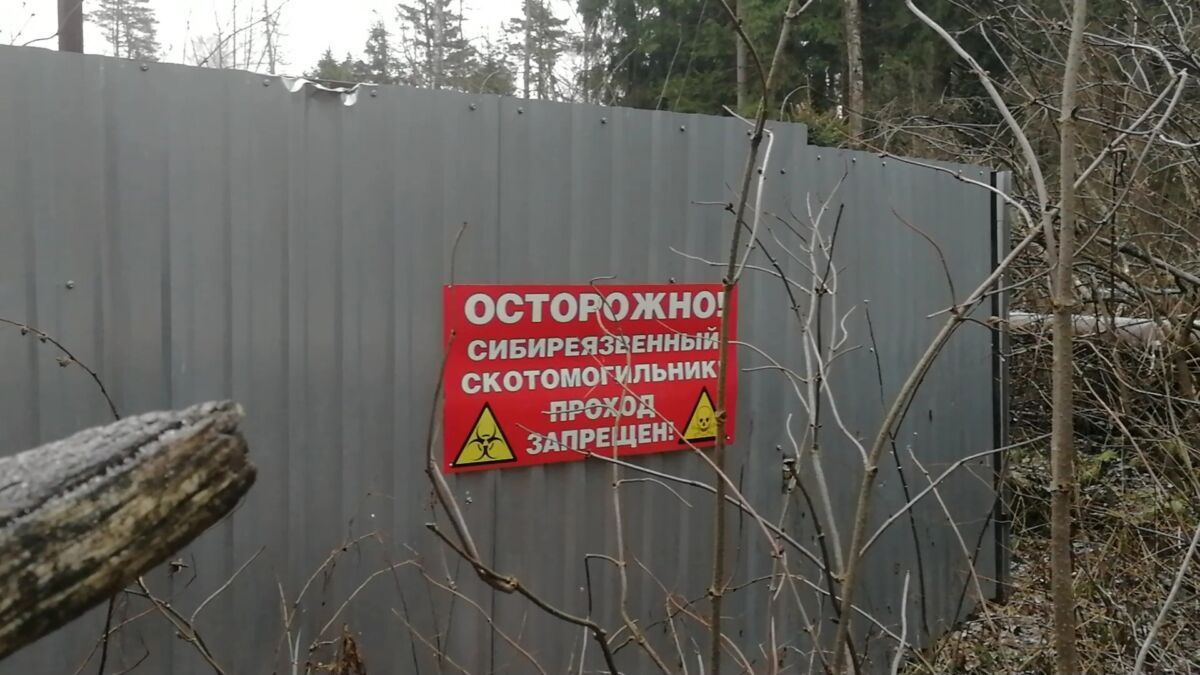 Четыре бесхозных скотомогильника в районах Карелии передадут в республиканскую собственность