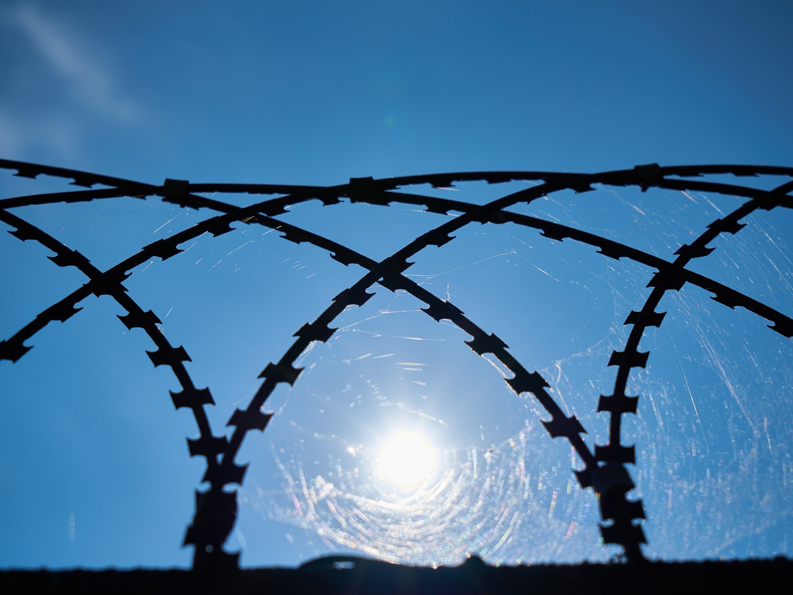 34 иностранца нарушили правила въезда в Россию в Приладожье