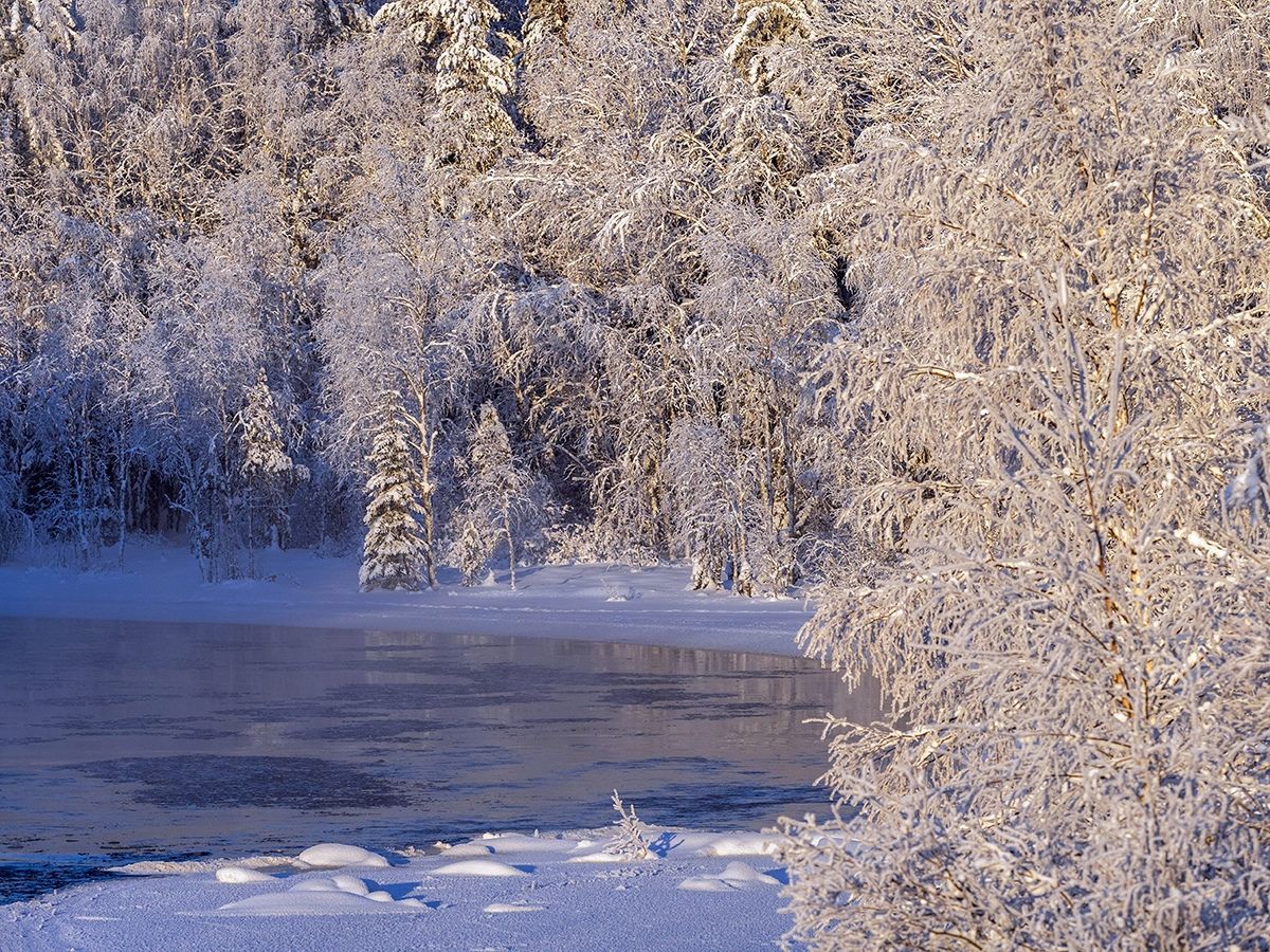 Умеренный ветер и снег. Прогноз погоды на 15 февраля
