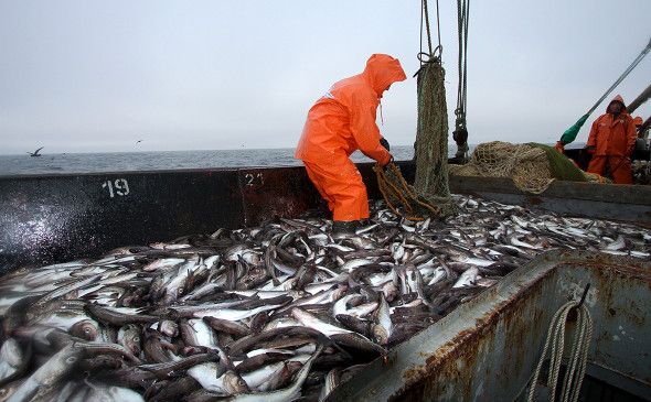 Выяснились причины ЧП с матросом судна рыболовецкой компании Карелии