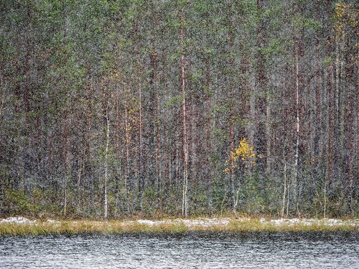 В большинстве районов Карелии небольшой снег. Прогноз погоды на 21 февраля